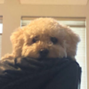 Meet your Posher, Helen